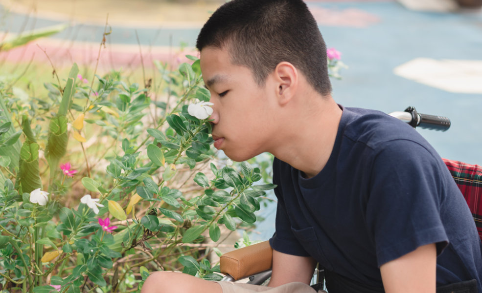 Sensory smelling flowers